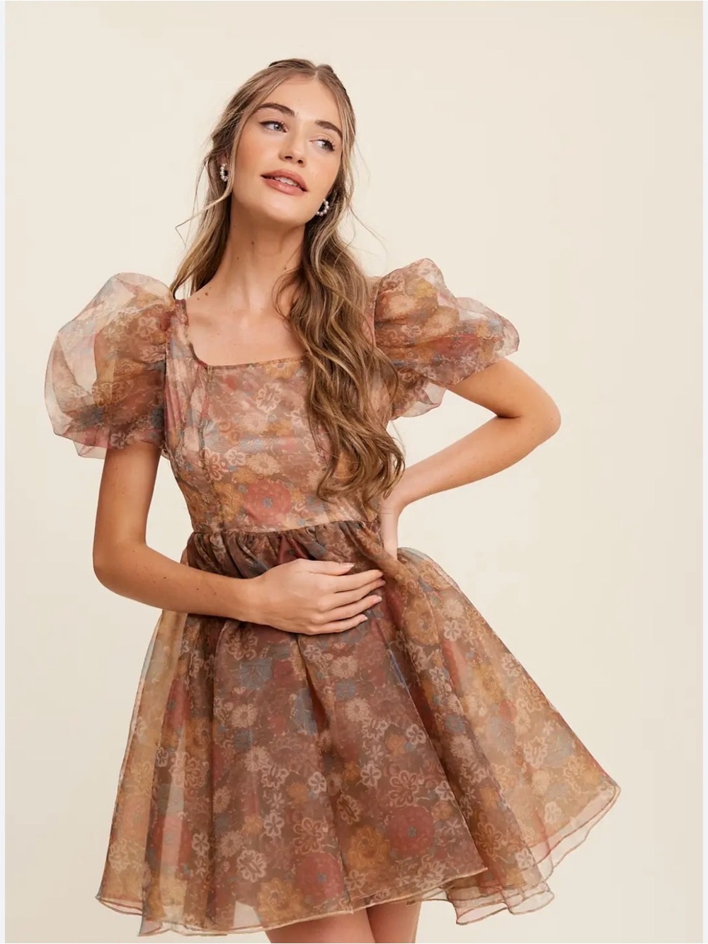 Listicle Puff Sleeve Floral Organza Mini Dress - Brown